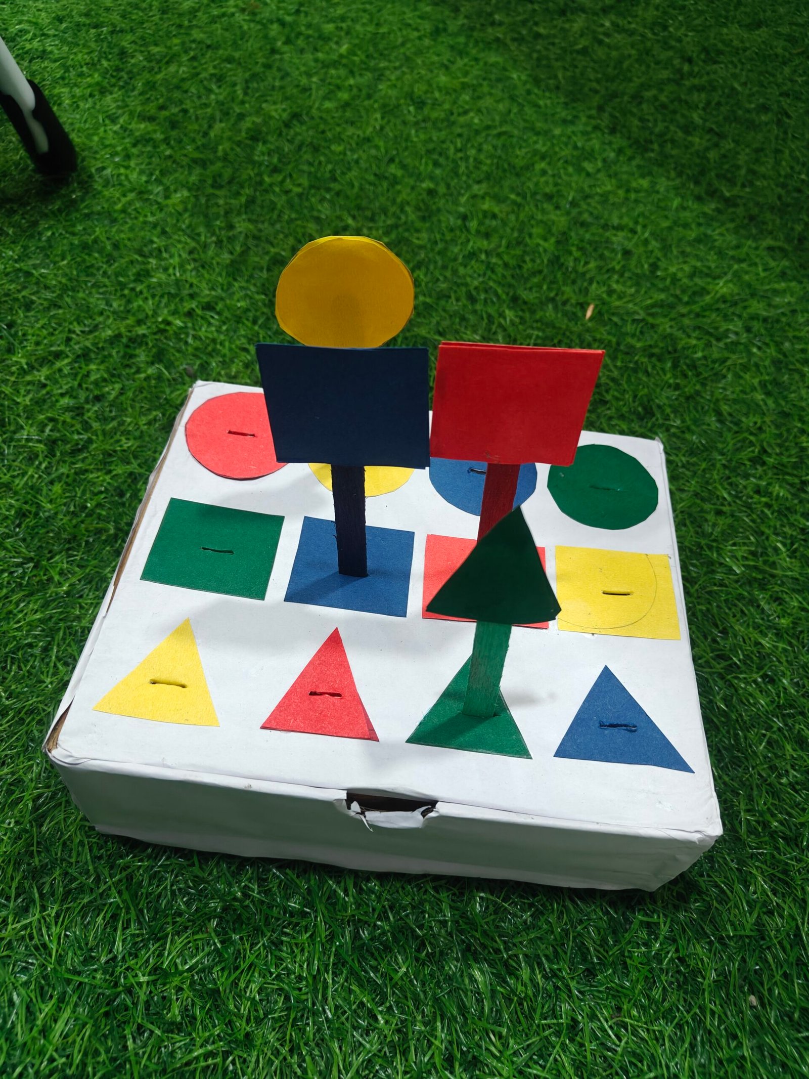 3D Shape Sorting & Matching Learning Box