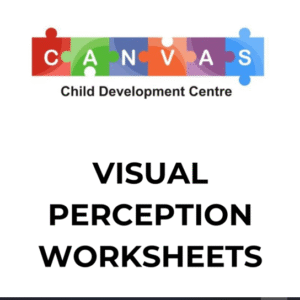 Visual Perception-E-Book