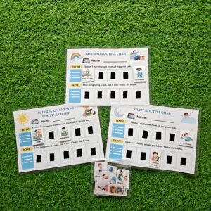 Visual routine charts  (Morning/afternoon/ evening)